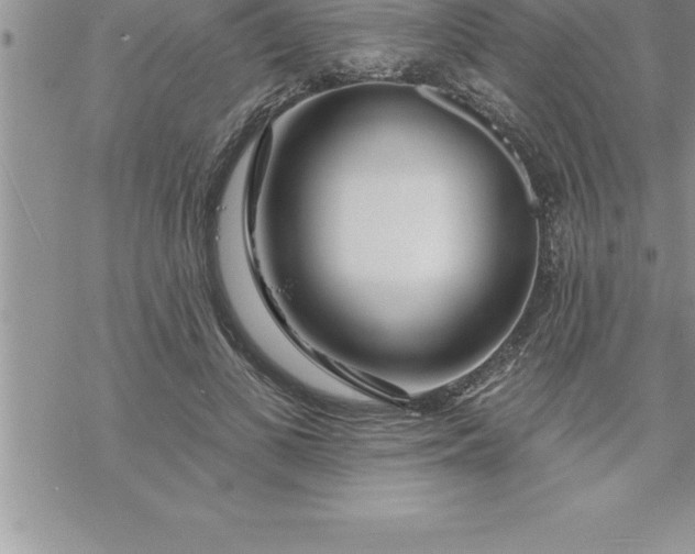 X0000069840693200606021402