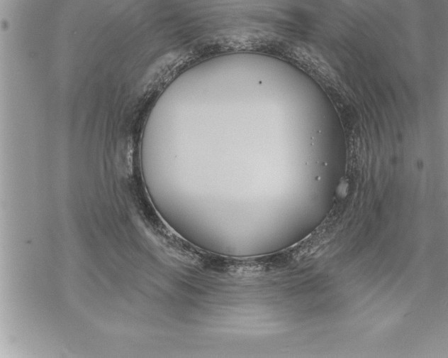 X0000069840694200606021402