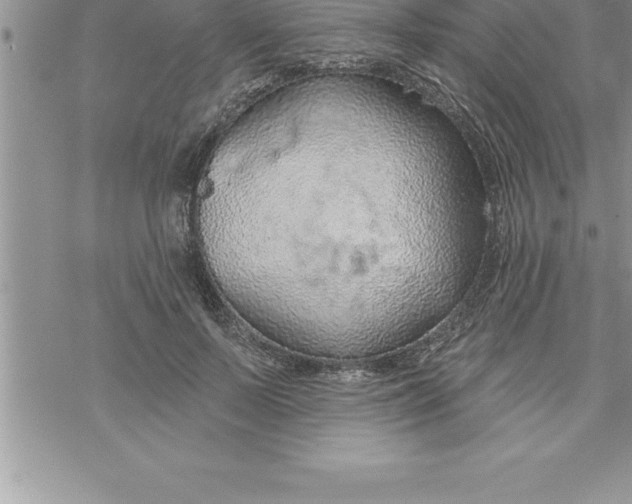 X0000069840695200606021402