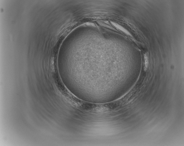 X0000069840696200606021402