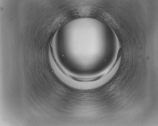 X0000069840697200606021402