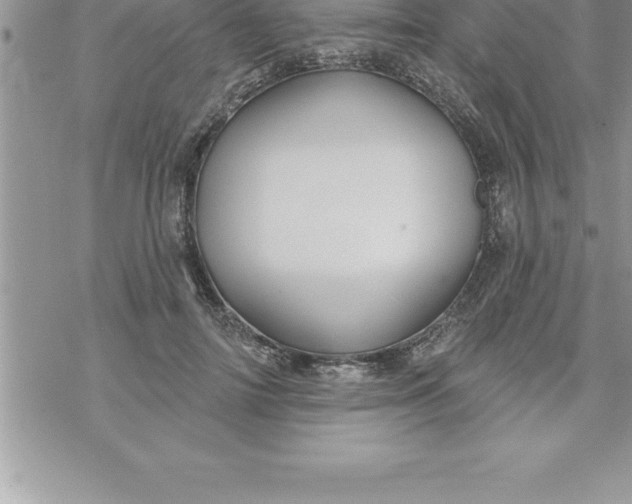 X0000069840698200606021402