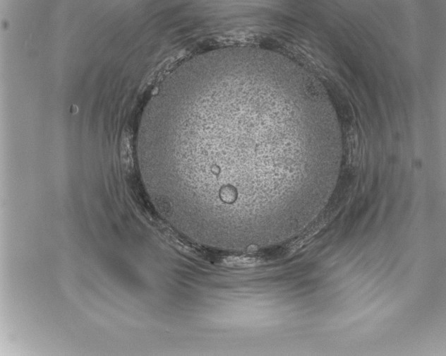 X0000069840699200606021402