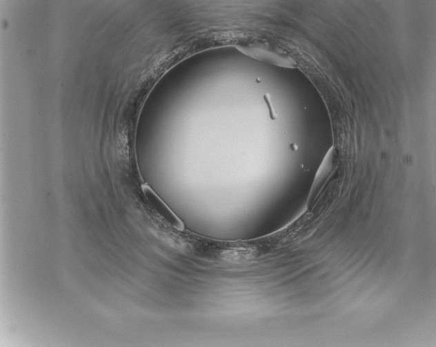 X0000069840700200606021401