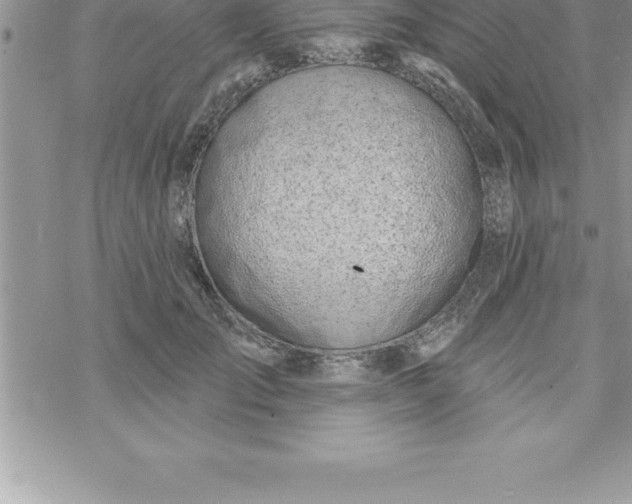 X0000069840701200606021401