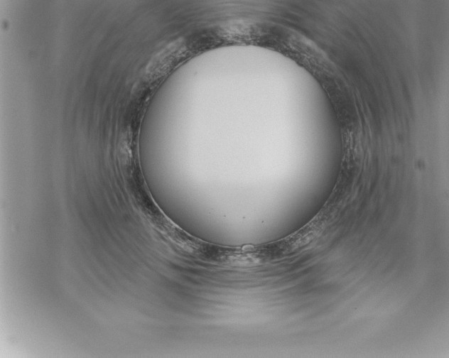 X0000069840702200606021401