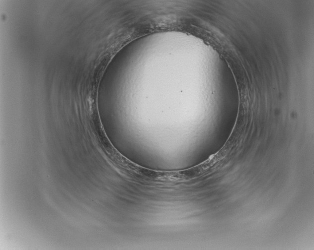 X0000069840703200606021401