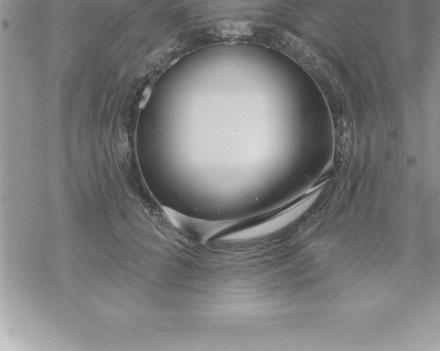 X0000069840704200606021401