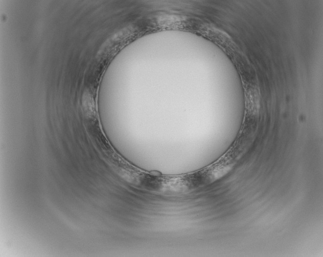 X0000069840705200606021401