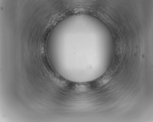 X0000069840706200606021401