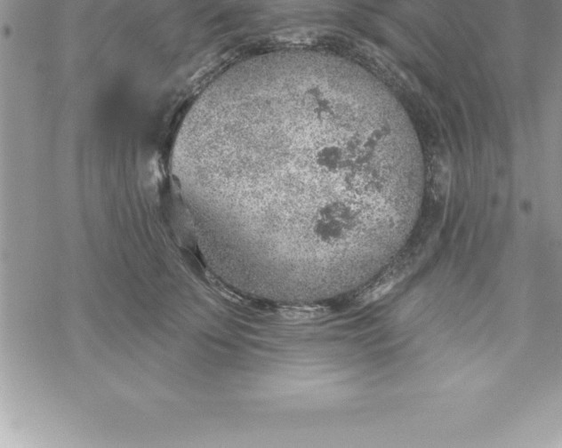 X0000069840707200606021401