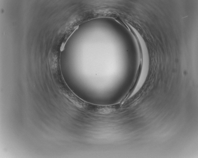 X0000069840708200606021401