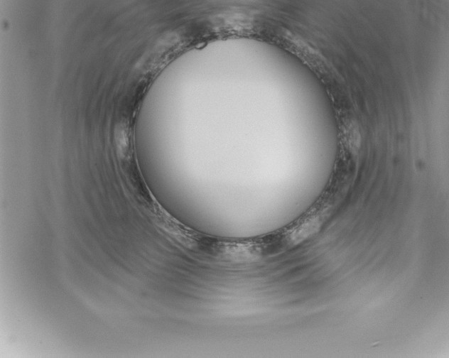 X0000069840709200606021401