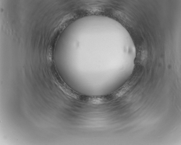 X0000069840710200606021401