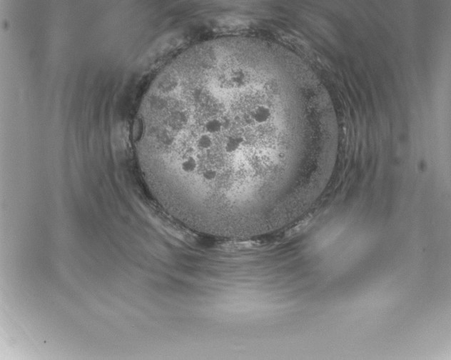 X0000069840711200606021401