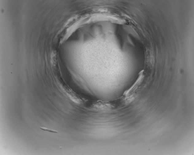 X0000069840712200606021401