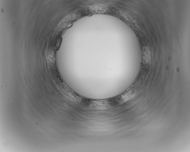 X0000069840713200606021401