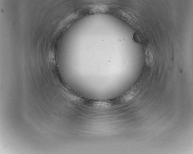 X0000069840714200606021401