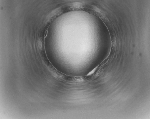 X0000069840715200606021401