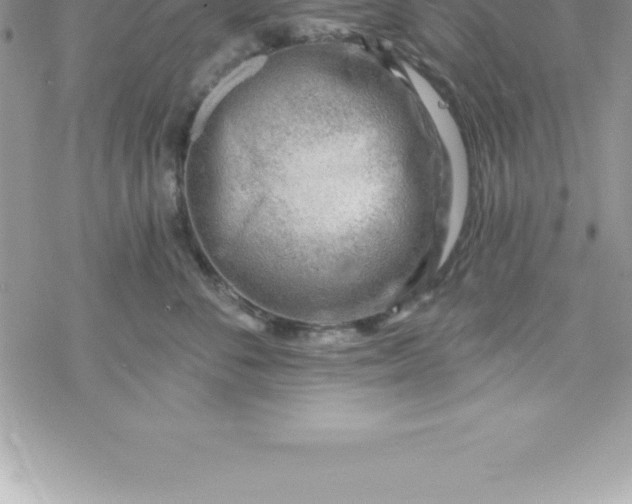 X0000069840716200606021401