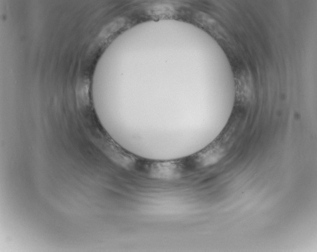 X0000069840717200606021401