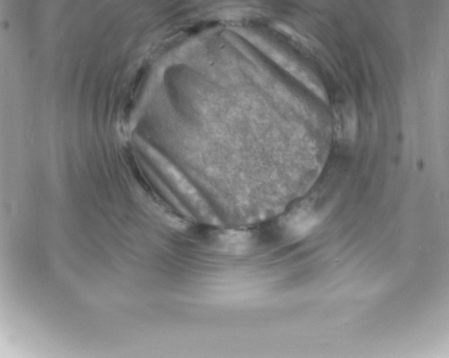 X0000069840718200606021401