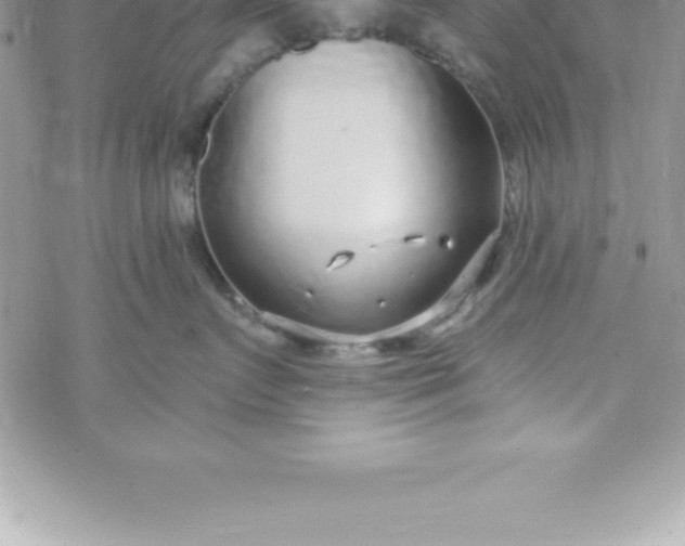 X0000069840719200606021401