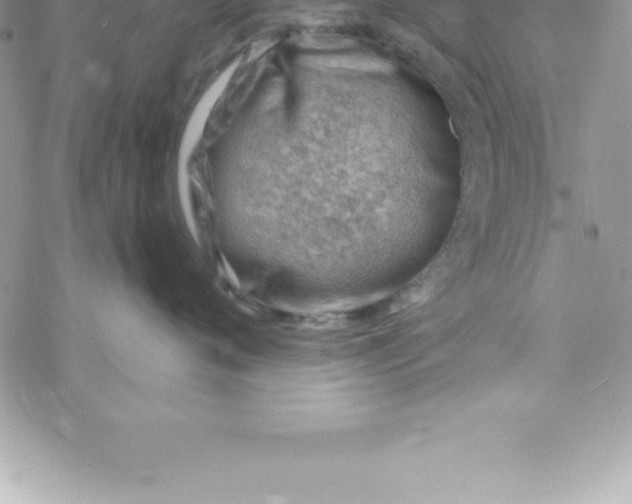 X0000069840720200606021401