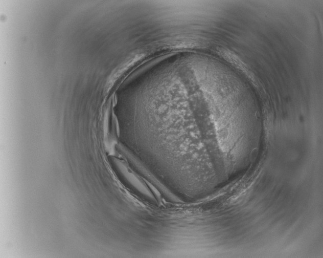 X0000069840721200606021400