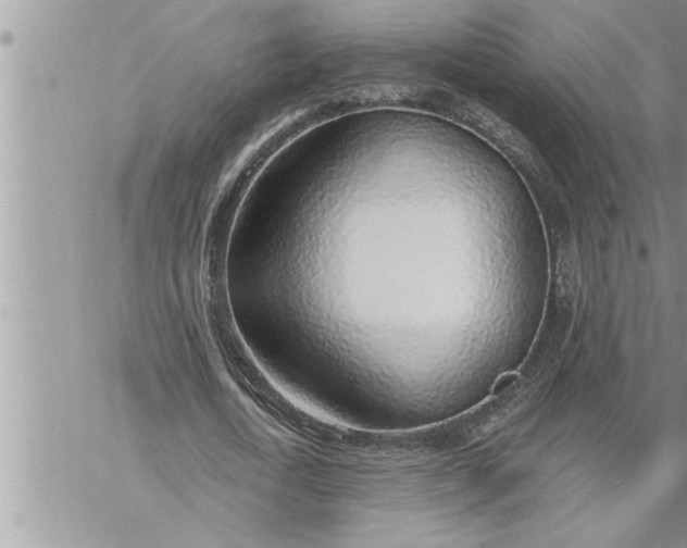 X0000069840722200606021400