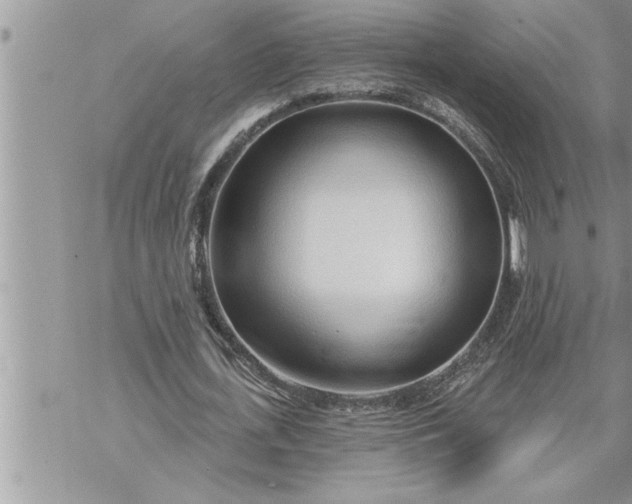 X0000069840723200606021400