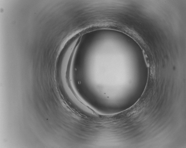 X0000069840724200606021400