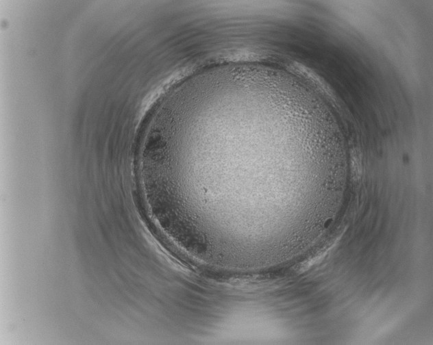 X0000069840725200606021400