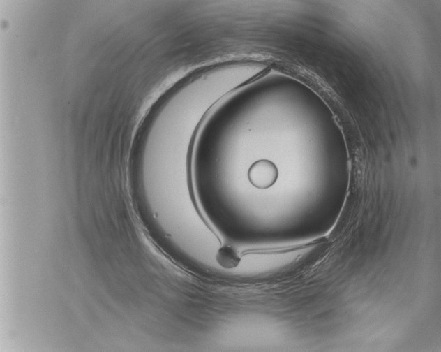 X0000069840726200606021400