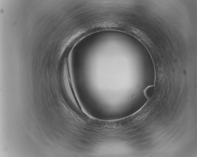 X0000069840727200606021400