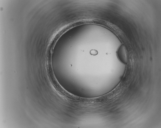 X0000069840728200606021400