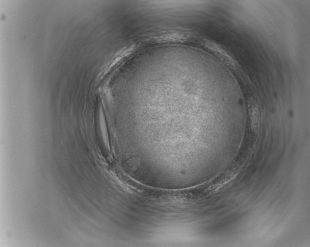 X0000069840729200606021401