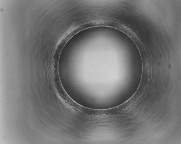 X0000069840730200606021401