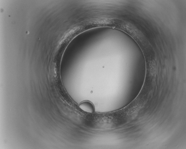 X0000069840731200606021401