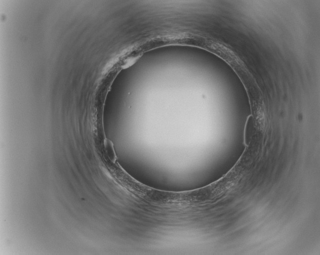 X0000069840732200606021401