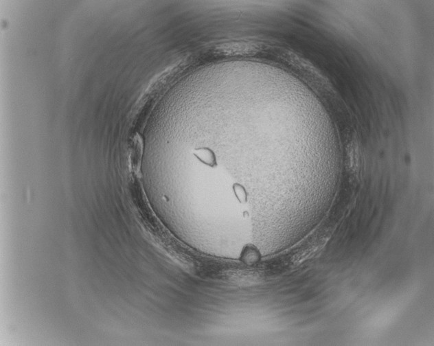 X0000069840733200606021401