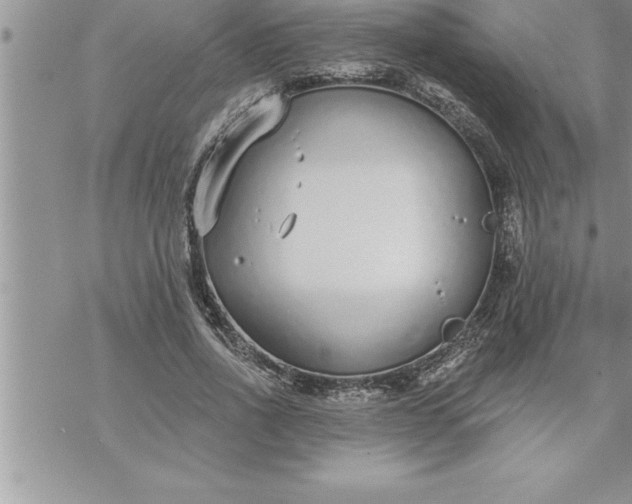 X0000069840734200606021401