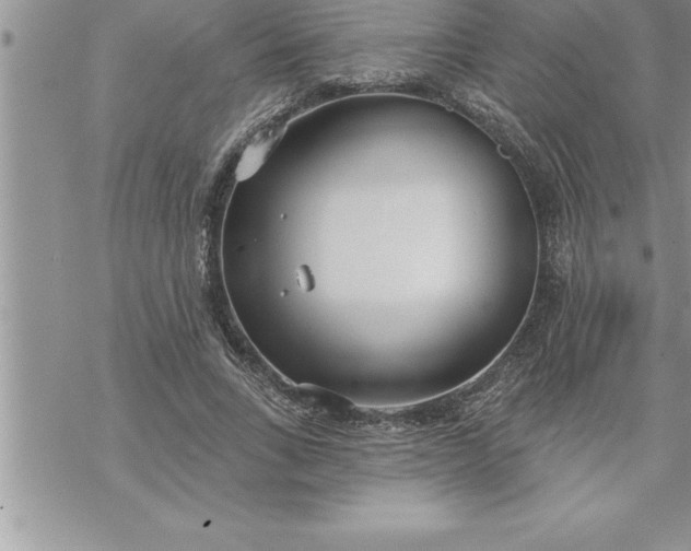 X0000069840735200606021401