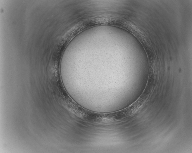 X0000069840737200606021401