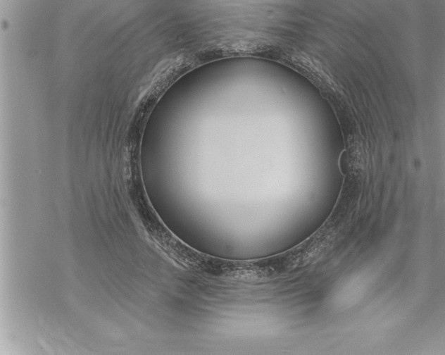 X0000069840738200606021401