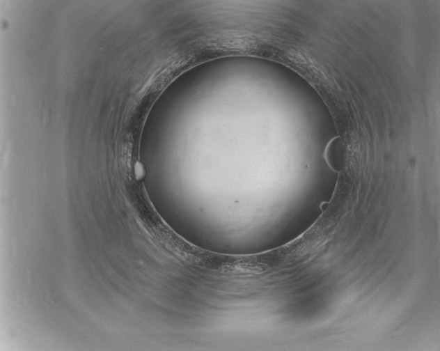 X0000069840739200606021401