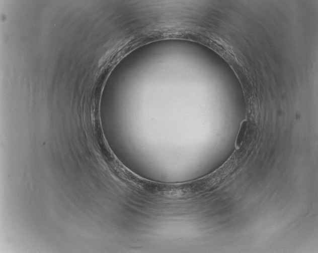 X0000069840740200606021401