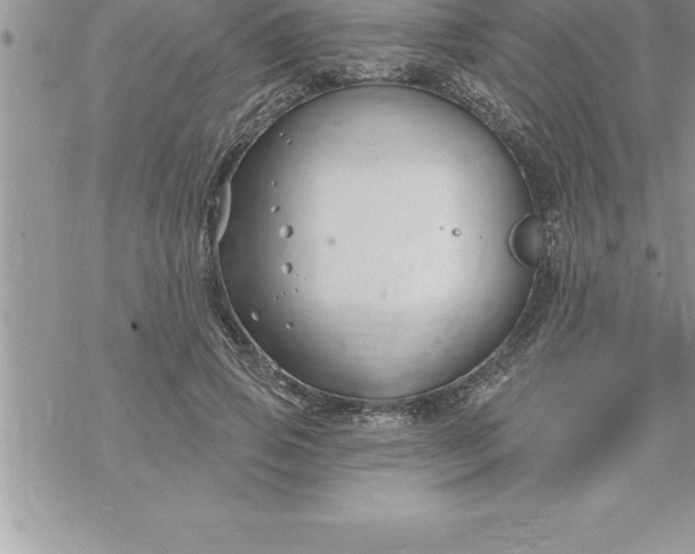 X0000069840741200606021401