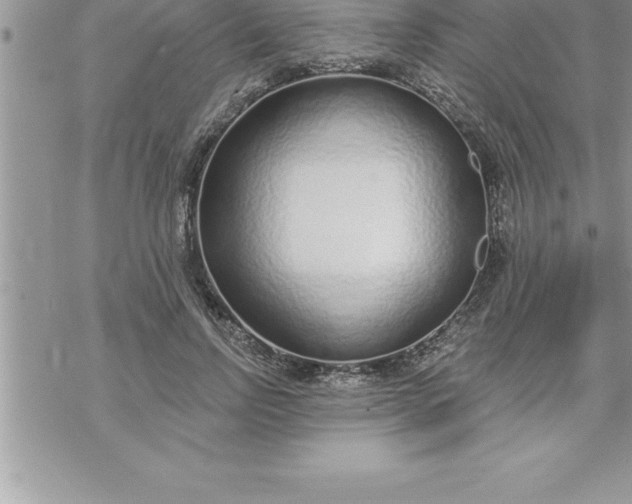 X0000069840742200606021401