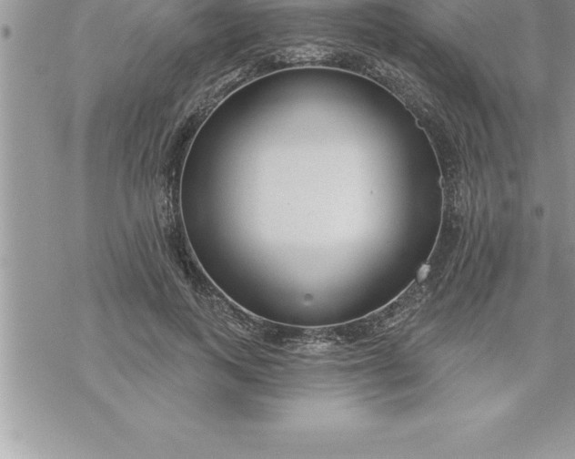 X0000069840743200606021401